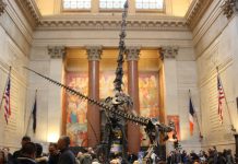 american museum of natural history